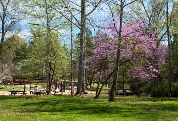 Glenn Hilton Park 4.2010-1