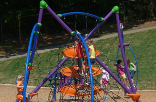 JungleGym