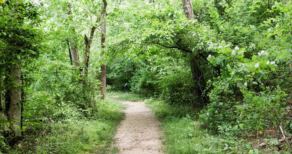 Riverbend park