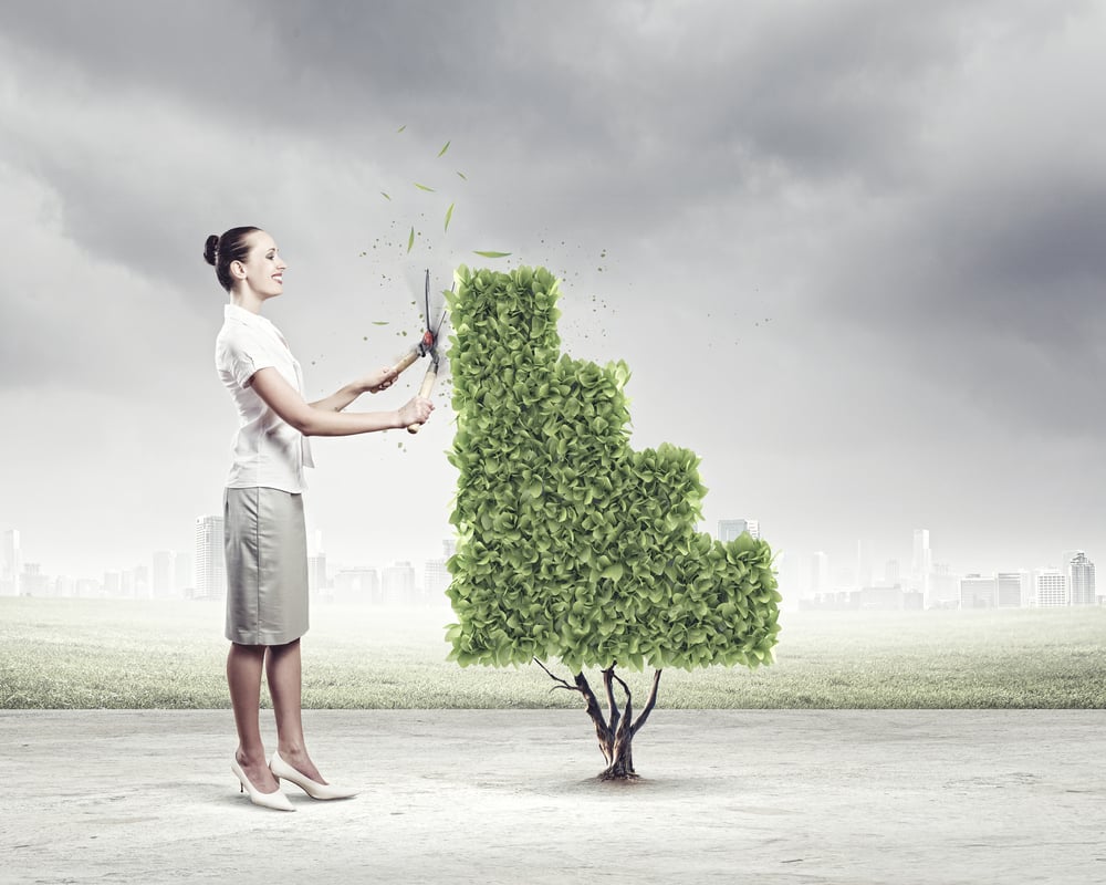 Young happy businesswoman cutting bush shaped like graph. Growth concept
