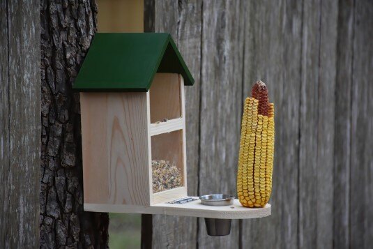 bird feeder workshop