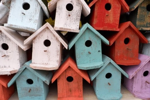 bird_house_building