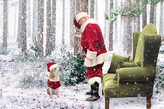 doggie days with santa