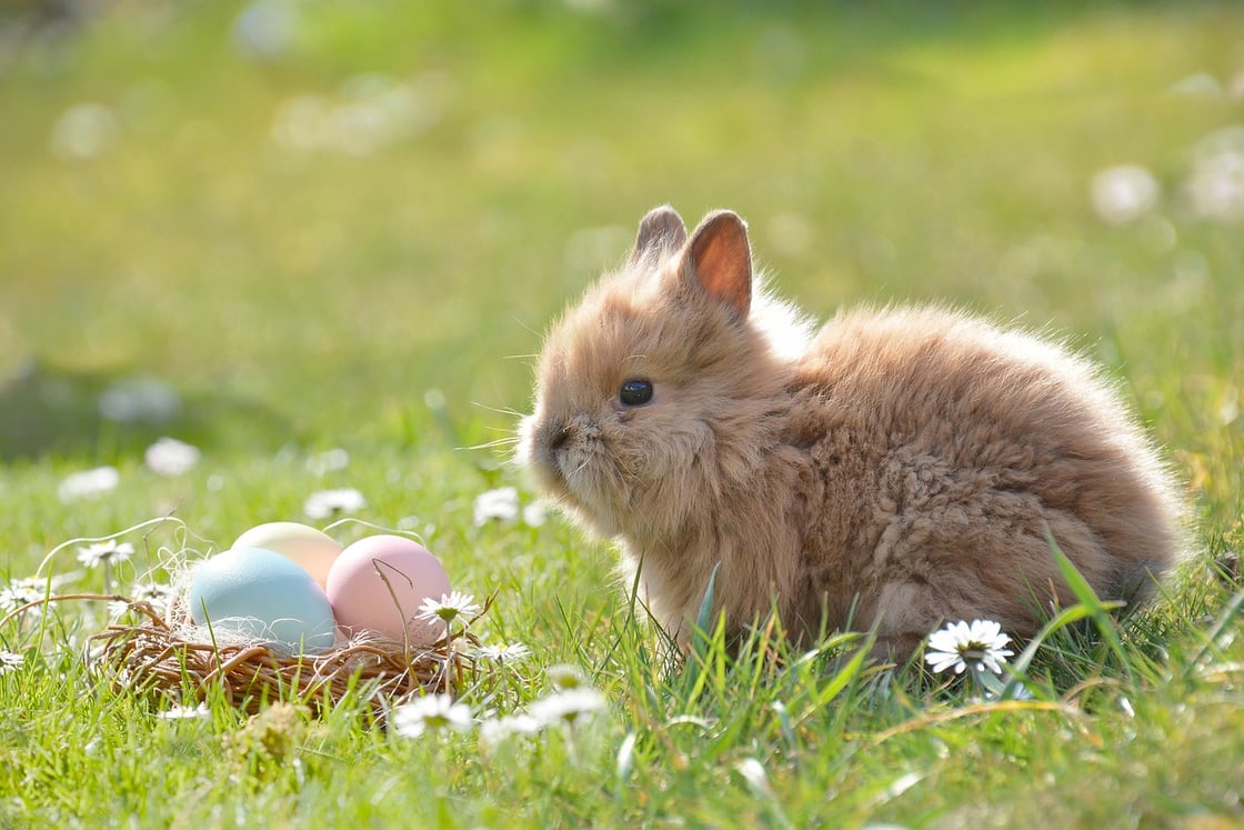 easter-ge11edb314_1280