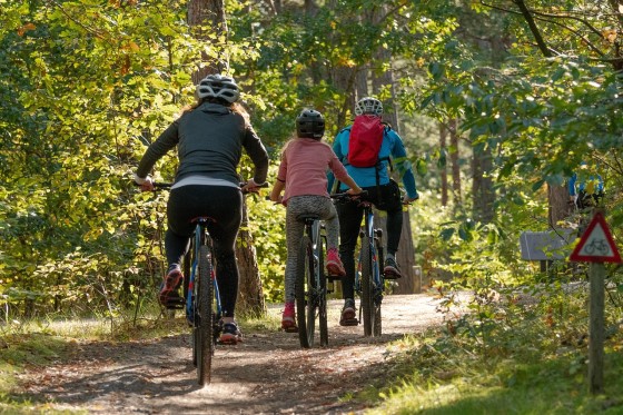 family_bike_ride