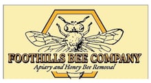 foothills_bee_small
