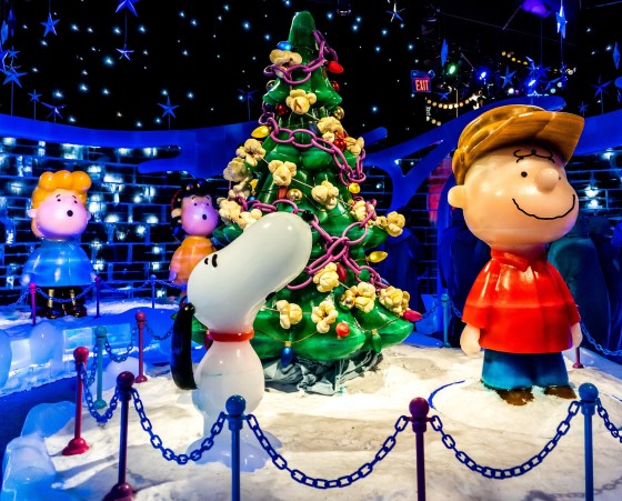 snoopy house