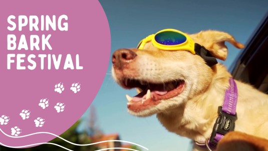 spring_bark_festival